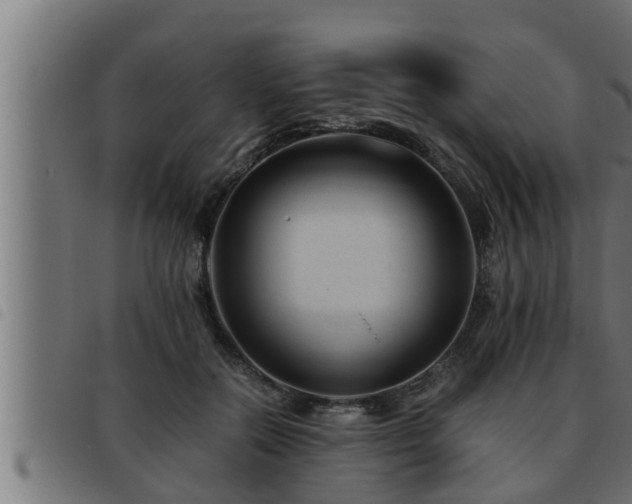 X0000093490554200710121509