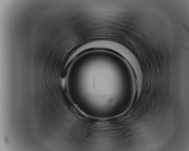 X0000093490556200710121509