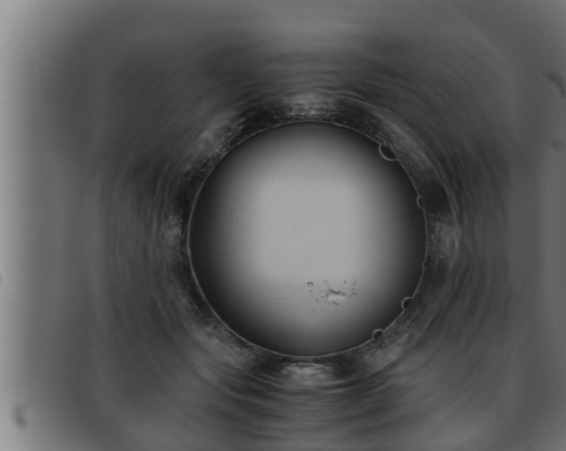 X0000093490557200710121509
