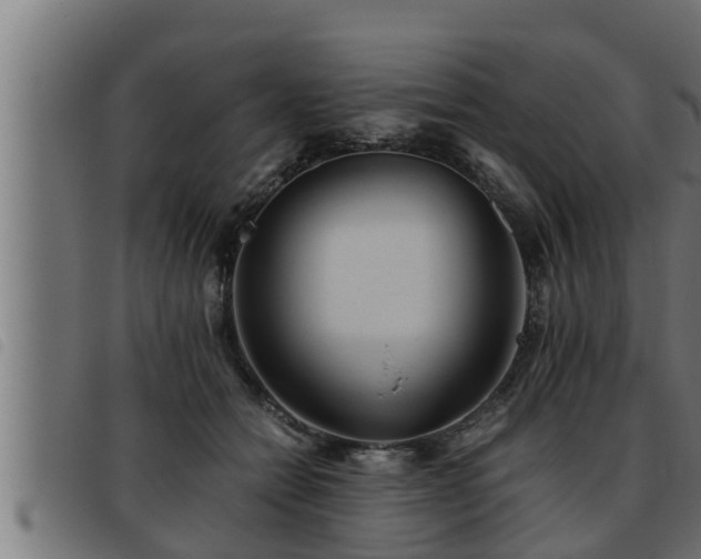 X0000093490558200710121509
