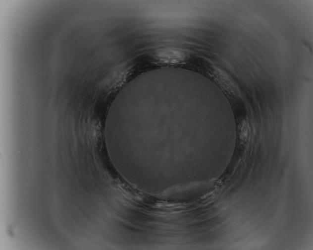 X0000093490559200710121509