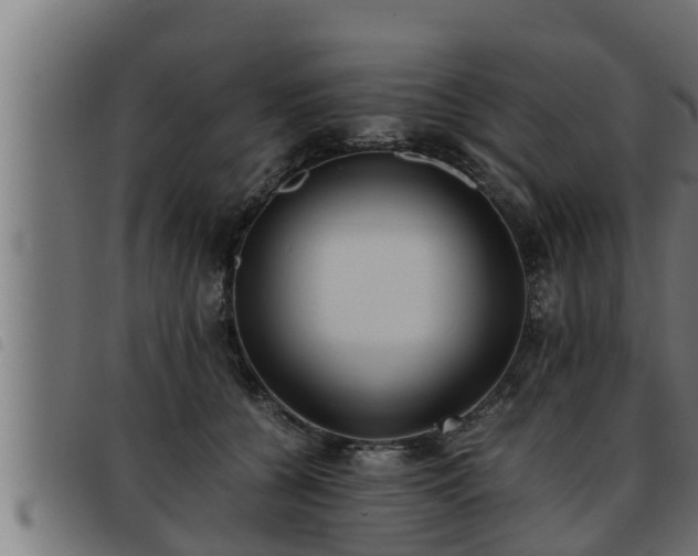 X0000093490560200710121509