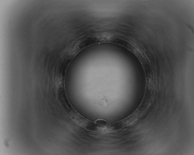 X0000093490561200710121509