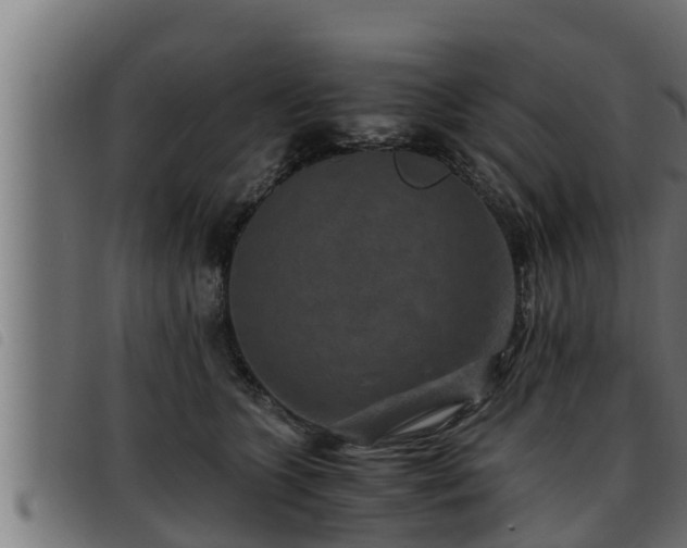 X0000093490563200710121509