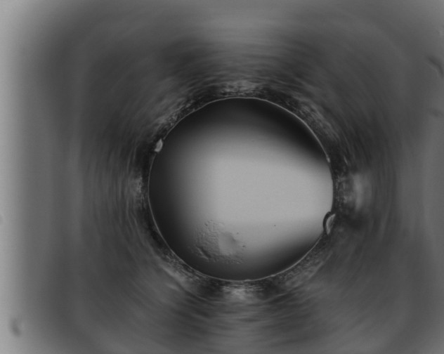 X0000093490564200710121509