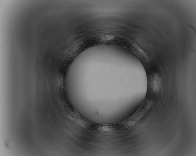 X0000093490565200710121509
