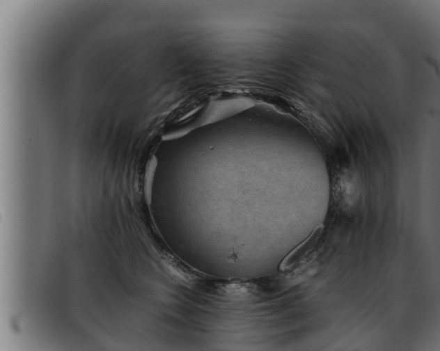 X0000093490566200710121509