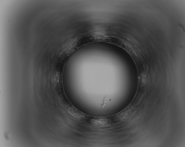 X0000093490567200710121509