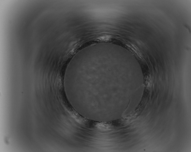 X0000093490568200710121509