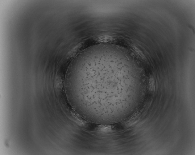 X0000093490569200710121509