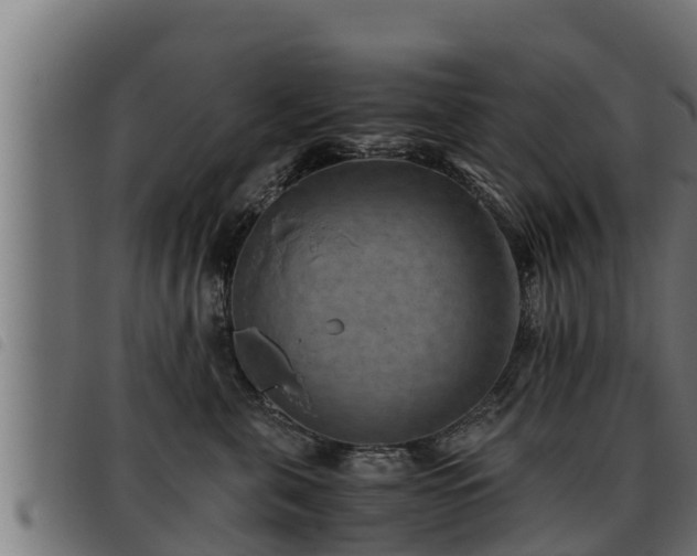 X0000093490571200710121509