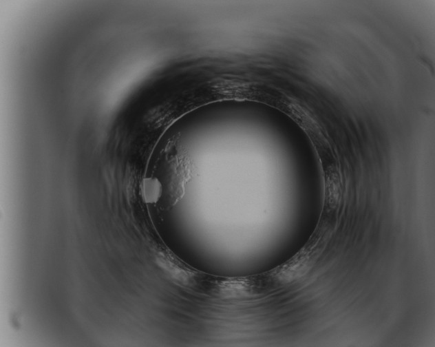 X0000093490574200710121509