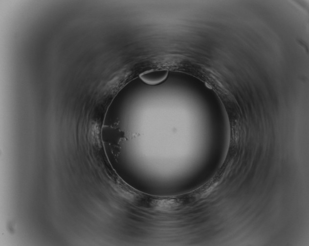 X0000093490575200710121509
