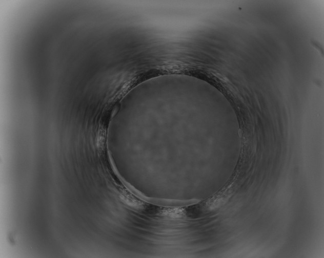 X0000093490576200710121509