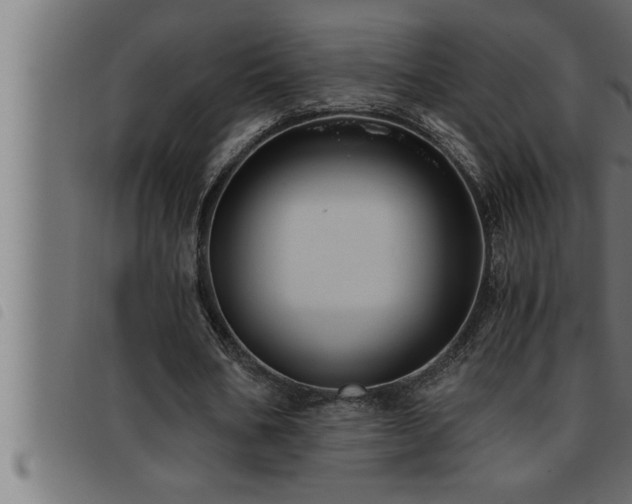 X0000093490578200710121508