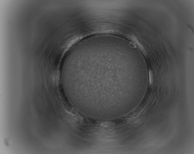 X0000093490579200710121508