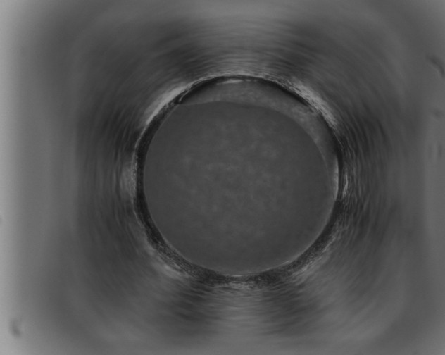 X0000093490580200710121508