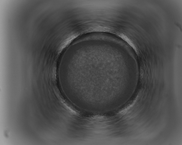 X0000093490581200710121508