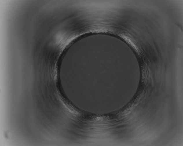 X0000093490584200710121508