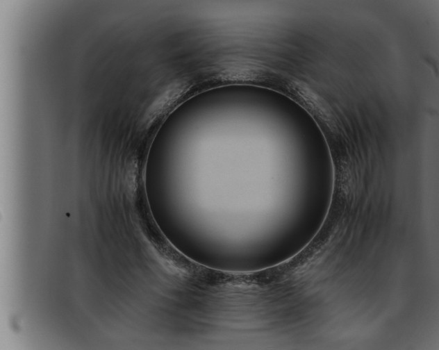 X0000093490586200710121508
