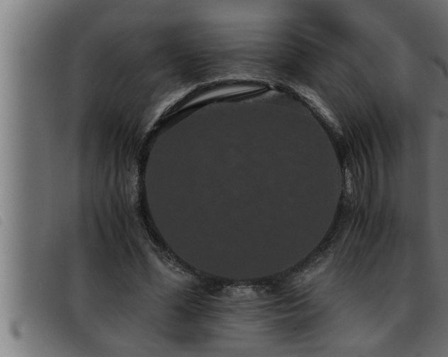 X0000093490588200710121508