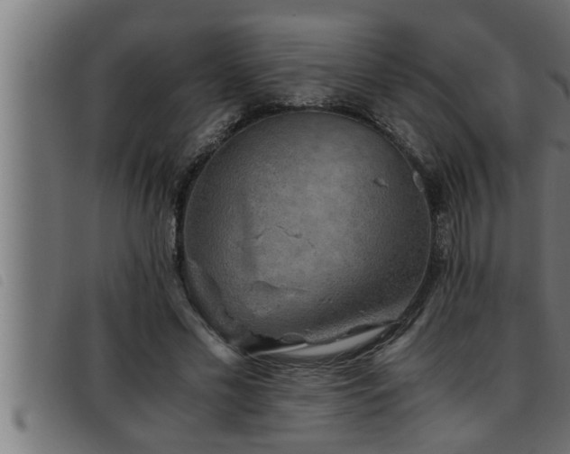 X0000093490589200710121508