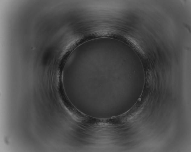 X0000093490590200710121508