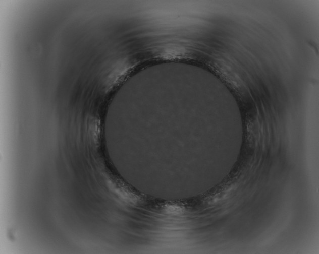 X0000093490592200710121508
