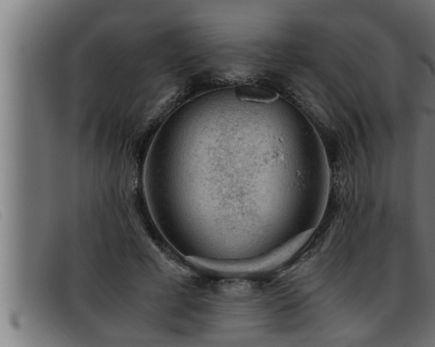 X0000093490593200710121508