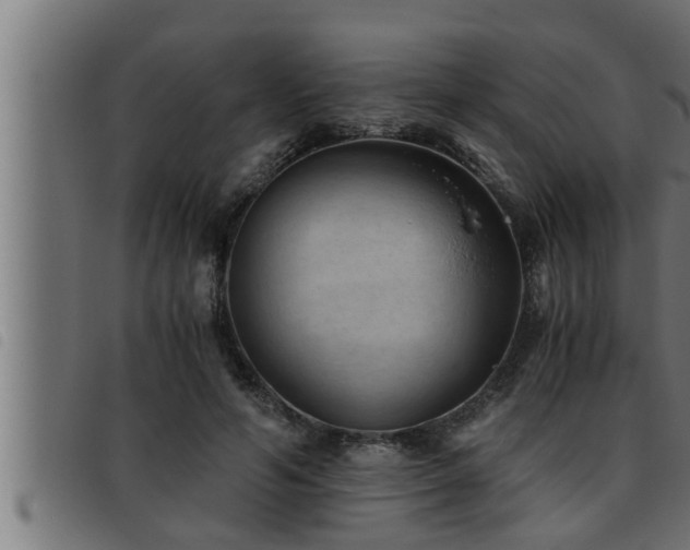 X0000093490594200710121508