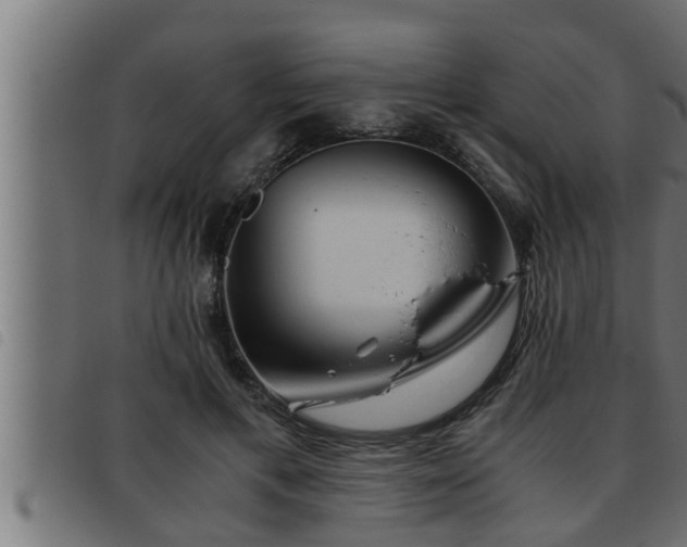 X0000093490597200710121508