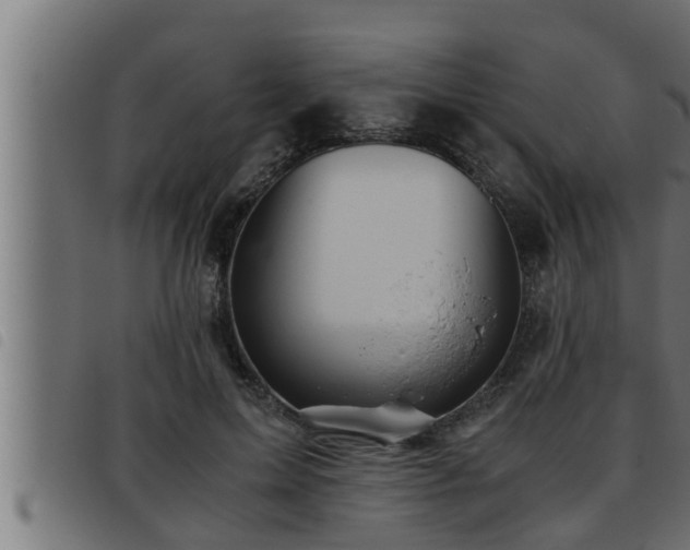 X0000093490599200710121508