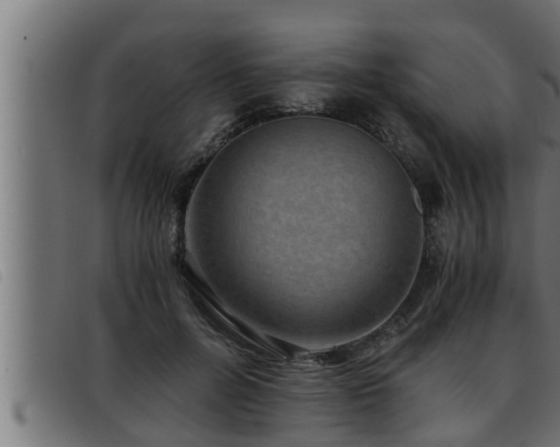 X0000093490600200710121508