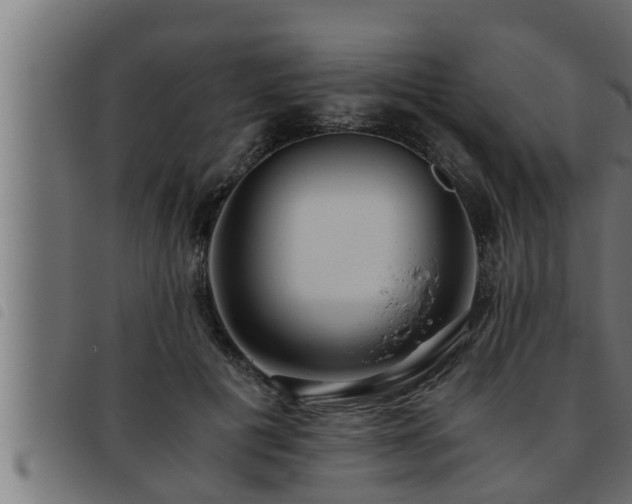 X0000093490601200710121508