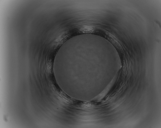 X0000093490604200710121508