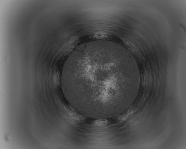 X0000093490606200710121508