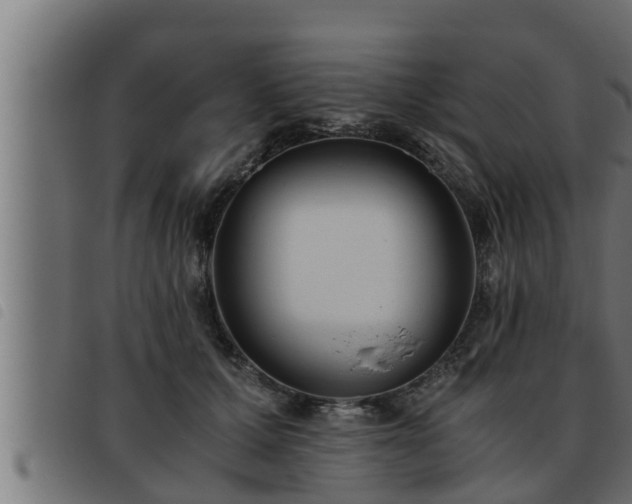 X0000093490607200710121508