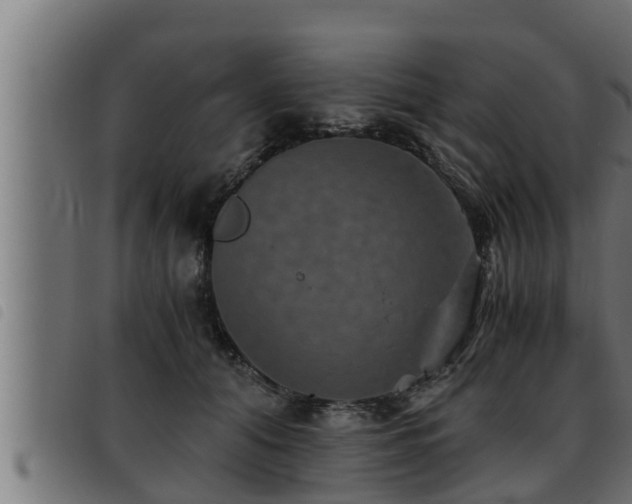 X0000093490608200710121508