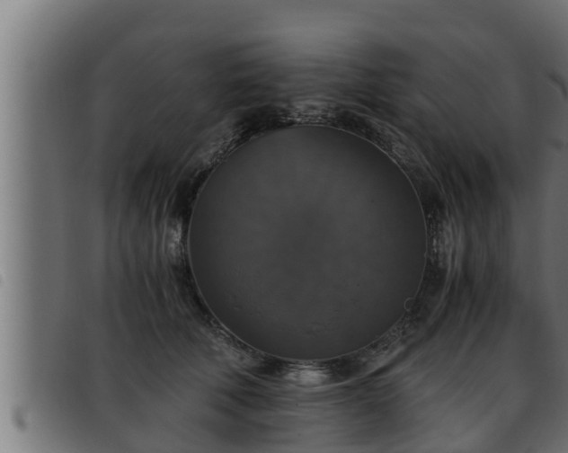 X0000093490610200710121508