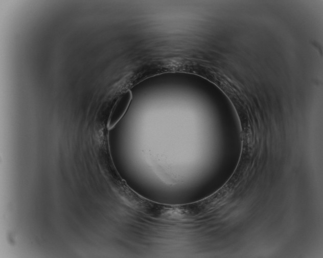 X0000093490611200710121508