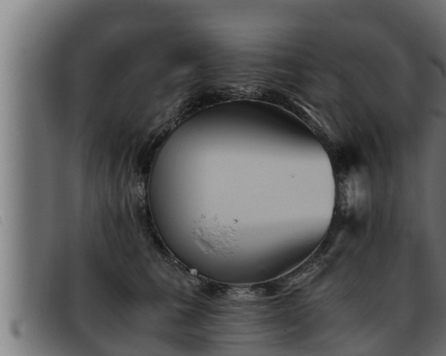 X0000093490613200710121508