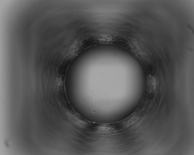 X0000093490614200710121508
