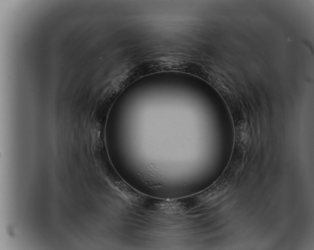 X0000093490615200710121508