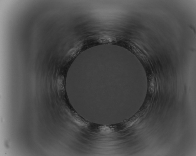 X0000093490616200710121508