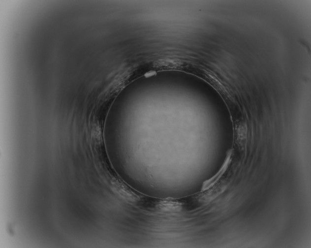 X0000093490617200710121508
