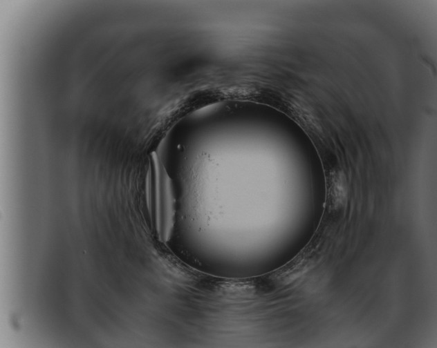 X0000093490619200710121508