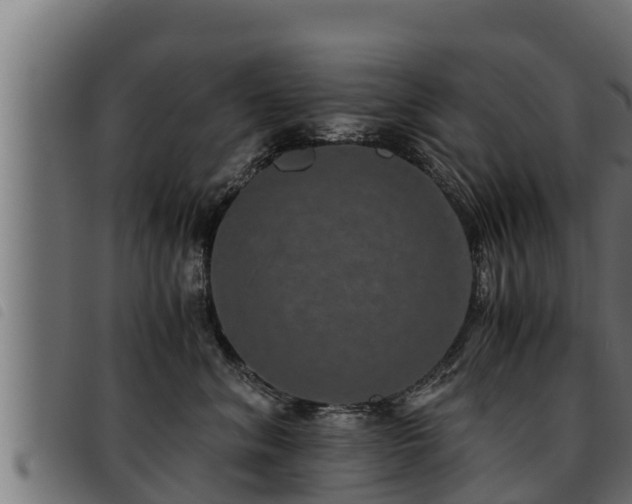 X0000093490620200710121508