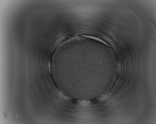X0000093490621200710121508