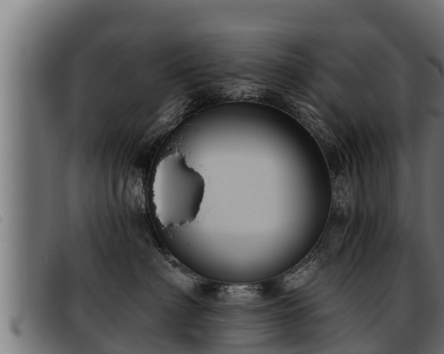 X0000093490622200710121508