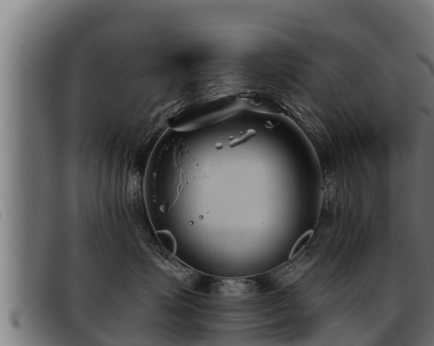 X0000093490623200710121508